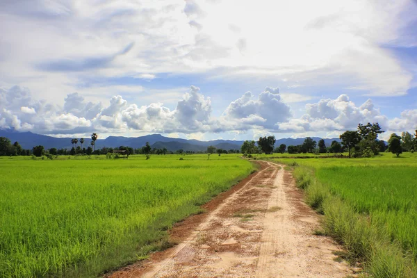 Dirt road — Stock Photo, Image