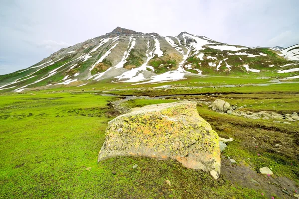 Veld en hoge berg — Stockfoto