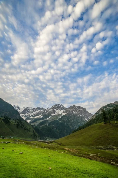 필드 및 높은 산 — 스톡 사진