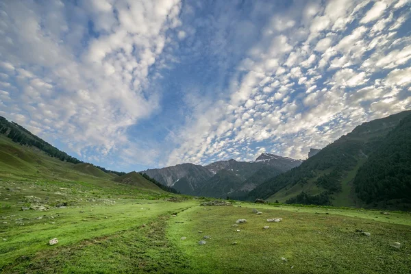 字段和高山 — 图库照片