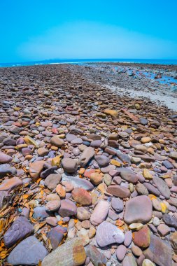 plaj ve tropik deniz