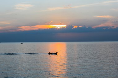 plaj ve tropik deniz