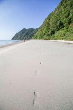 plaj ve tropik deniz