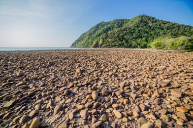 plaj ve tropik deniz