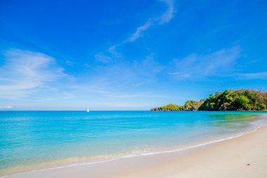 plaj ve tropik deniz