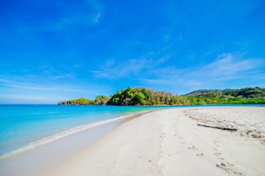 plaj ve tropik deniz