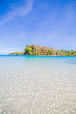 plaj ve tropik deniz
