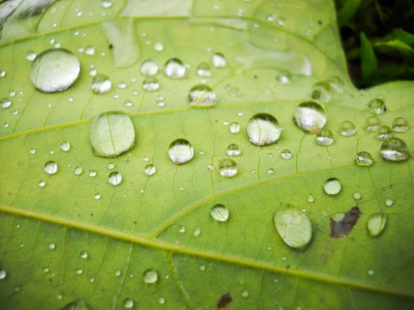 水滴 — 图库照片