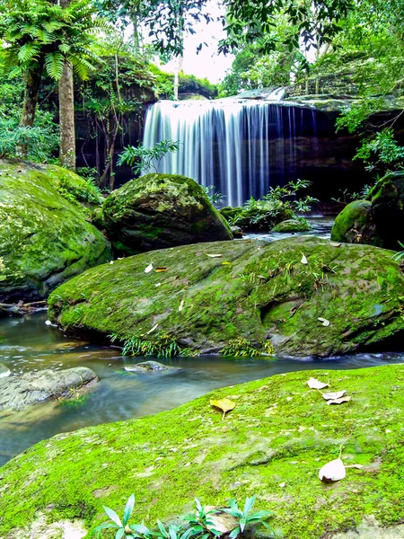 Водоспад у дощовому лісі — стокове фото