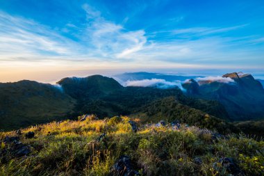 sabah orman ve dağ üzerinde ışık