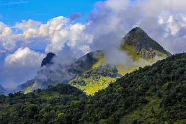 sabah orman ve dağ üzerinde ışık