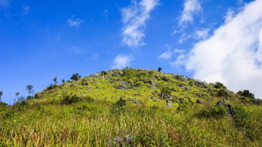 yeşil tepeler ve mavi gökyüzü