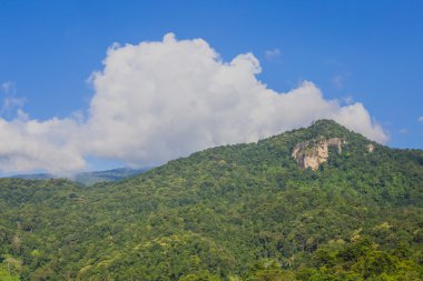 sabah sis, tropikal dağ silsilesi