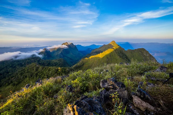 Luz de la mañana sobre el bosque y la montaña — Foto de Stock