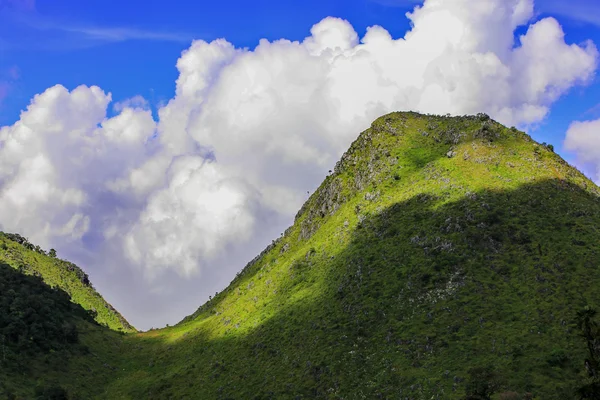 Morgonljuset över skog och berg — Stockfoto