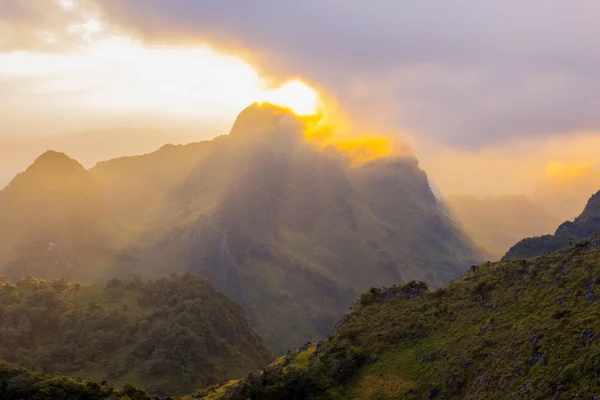 Morgenlicht über Wald und Berg — Stockfoto