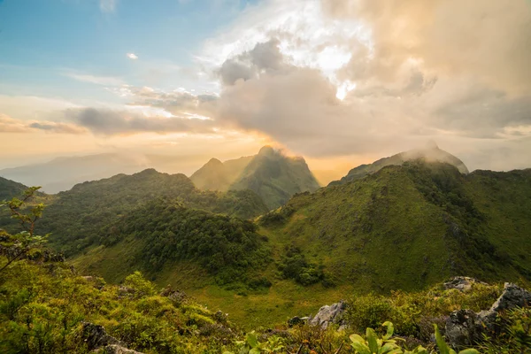 Luz de la mañana sobre el bosque y la montaña — Foto de Stock