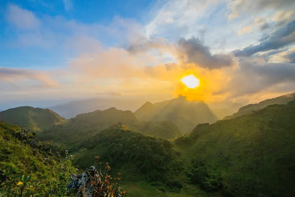 Morning light over the Forest and Mountain — Stock Photo, Image