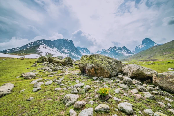 Montagna di neve con campo verde — Foto Stock