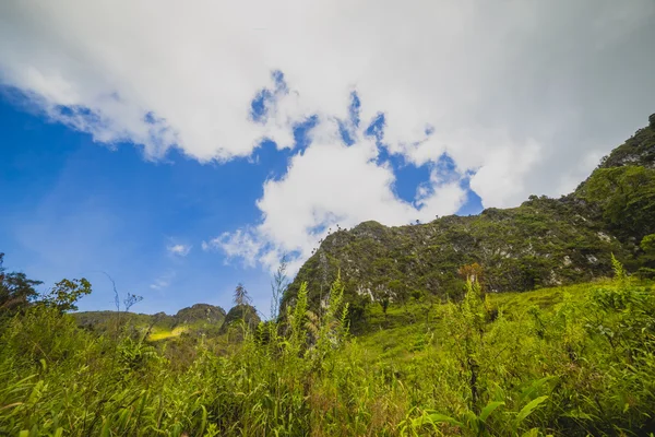 Mountain and field — Stock Photo, Image