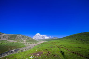 yuvarlanan yeşil tepeler 