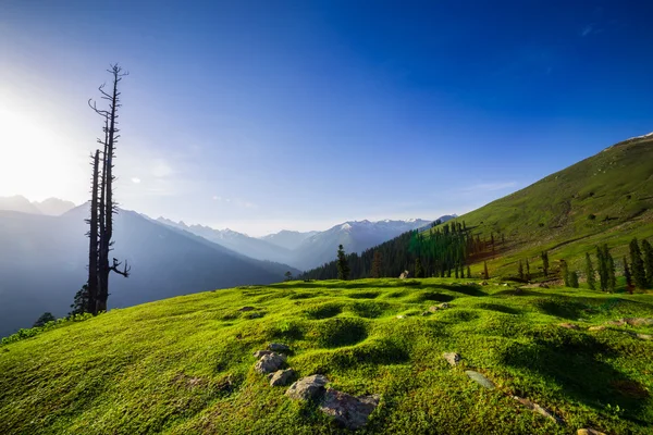 翻滚的青山 — 图库照片