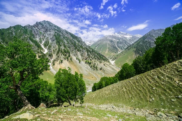 Landscape Mountain — Stock Photo, Image