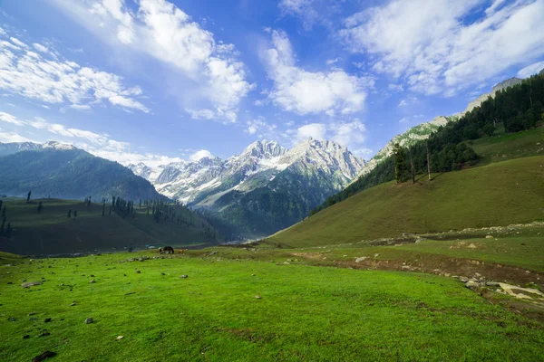 Mountain landscape Sunrise — Stock Photo, Image