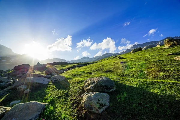 Sonnenuntergang über grünem Feld — Stockfoto