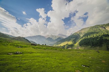 yeşil tepeler ve mavi gökyüzü