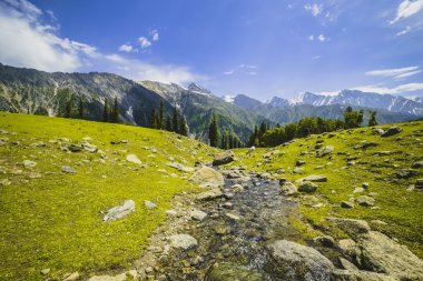 yeşil tepeler ve mavi gökyüzü
