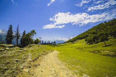 yeşil tepeler ve mavi gökyüzü