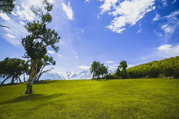 Rolling green hills and a blue sky — Stock Photo, Image