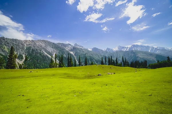 Rolling green hills and a blue sky — Stock Photo, Image