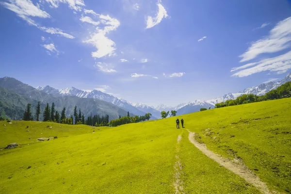 起伏的绿色山丘和蓝蓝的天空 — 图库照片