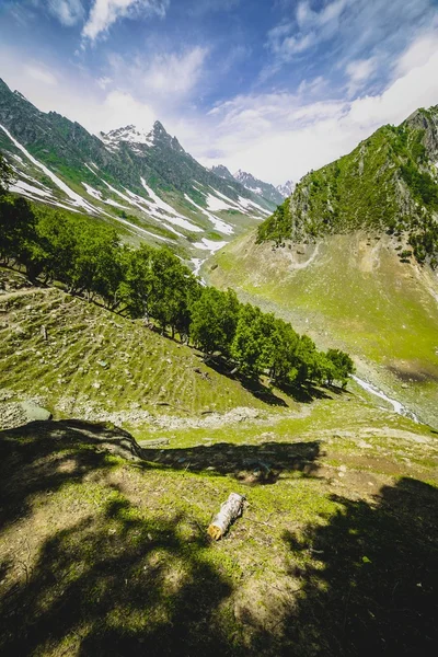 Böljande gröna kullar och blå himmel — Stockfoto