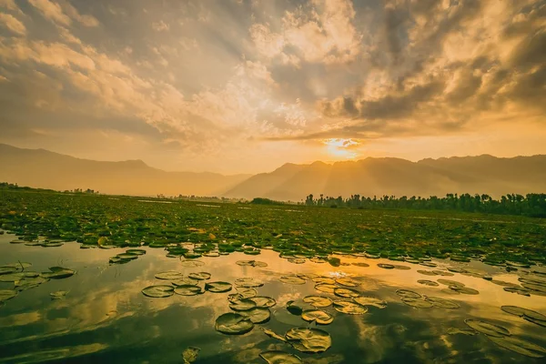 Ochtend meer met zonsopgang — Stockfoto