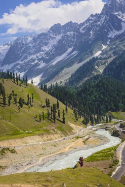 Sonamarg dağlarda kar yolu