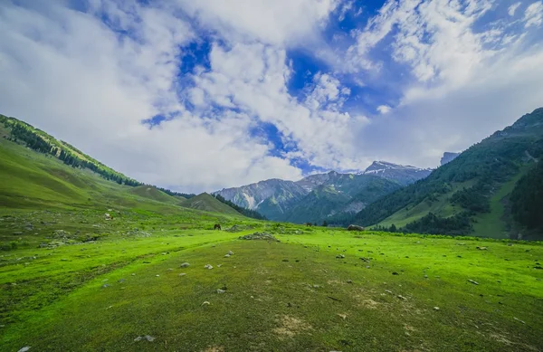 Paesaggio idilliaco — Foto Stock