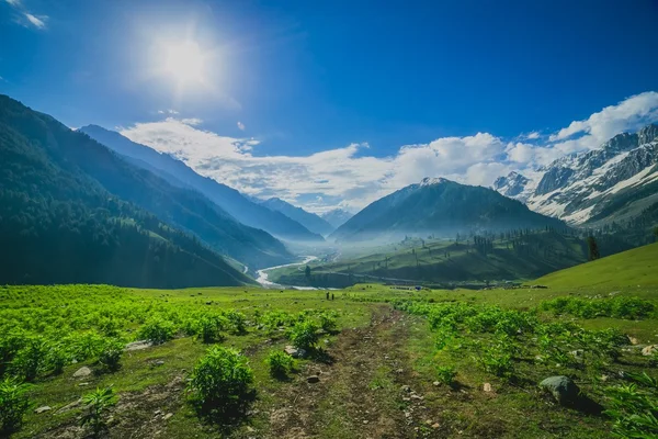 Yeşil Vadi — Stok fotoğraf