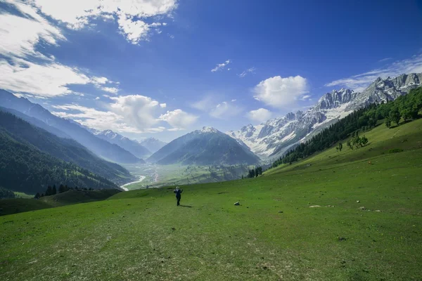 Green Valley — Stock Photo, Image