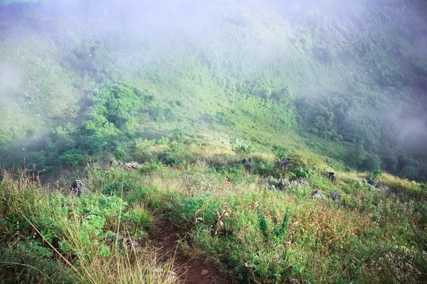 Brume du matin à la chaîne de montagnes tropicales — Photo