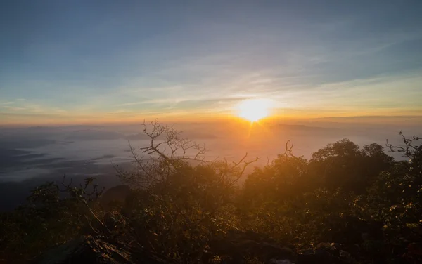 Morgennebel am tropischen Gebirge — Stockfoto
