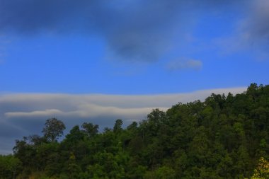 Yağmur ormanı fırtına bulutu ile