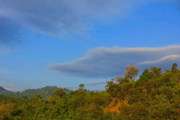 Rain forest with storm cloud — Stock Photo, Image