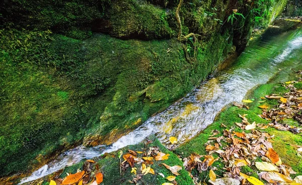 Waterfall in rain forest — Stock Photo, Image