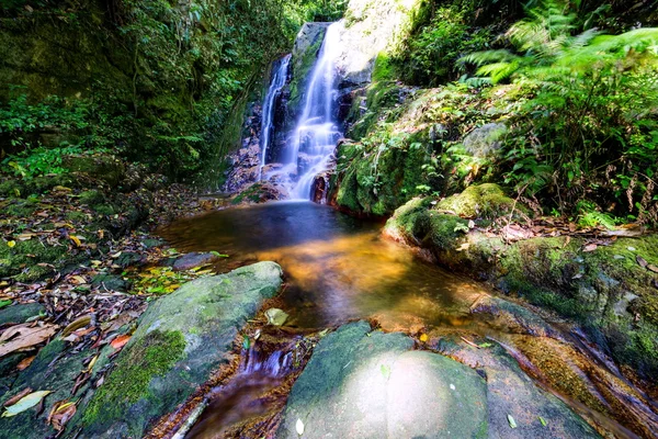 Waterfall in rain forest — Stock Photo, Image