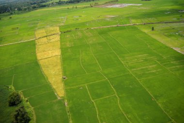 Yeşil alanlar ve yamaçları havadan görünümü