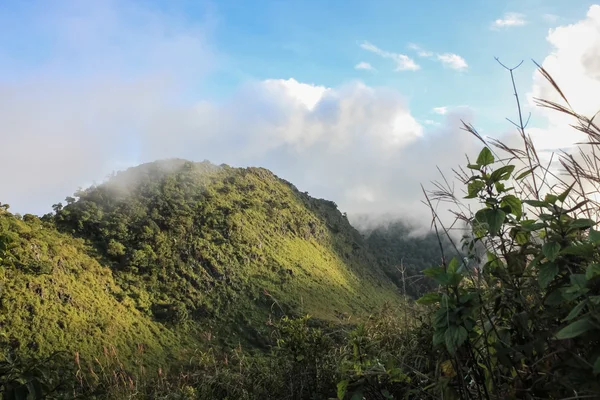 Montaña y campo — Foto de Stock