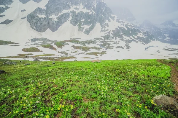 Montagnes prairies — Photo